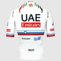 Bekleidung Herren Pissei Team UAE 2024 Magistrale Trikot-Slowenischer Meister Bekleidung Herren Pissei Team UAE 2024 Magistrale Trikot-Slowenischer Meister
